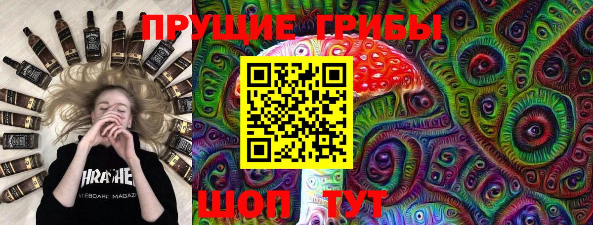 Псилоцибиновые грибы Psilocybe  магазин продажи   Архангельск  Вход с VPN 